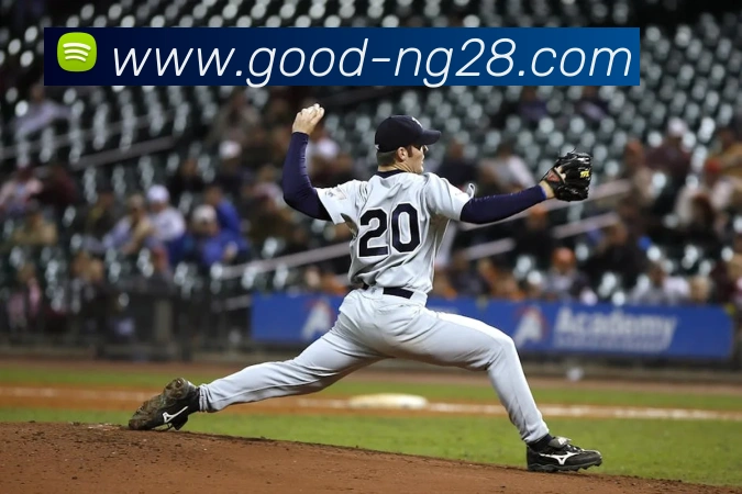 南宫28平台生态图