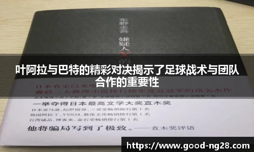 南宫NG28平台